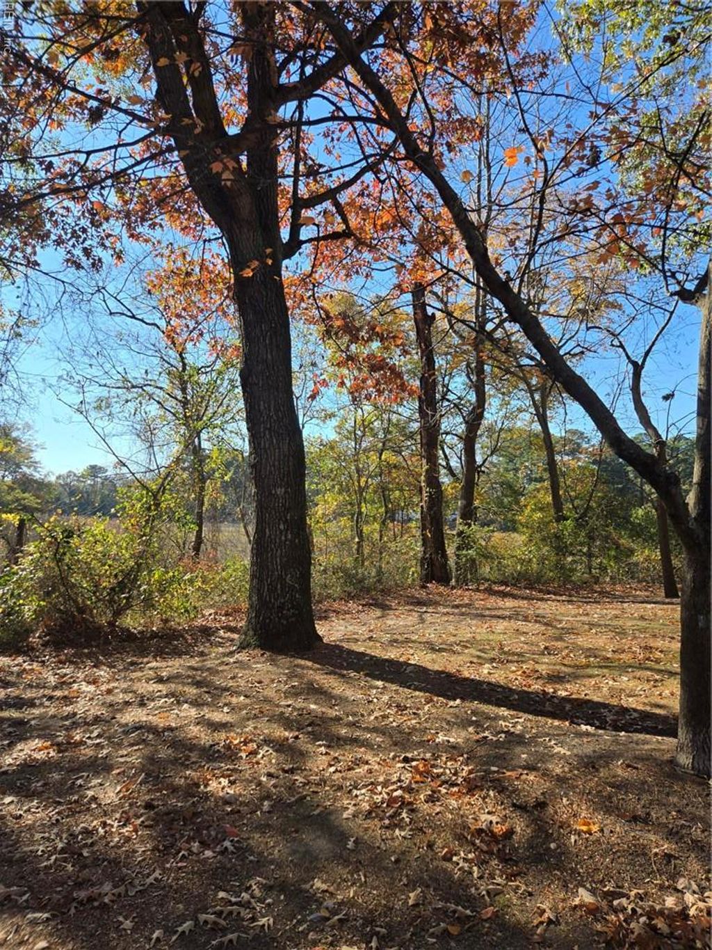 Photo of 904 Drift Tide Drive, Virginia Beach, VA 23464 (MLS # 10611895)