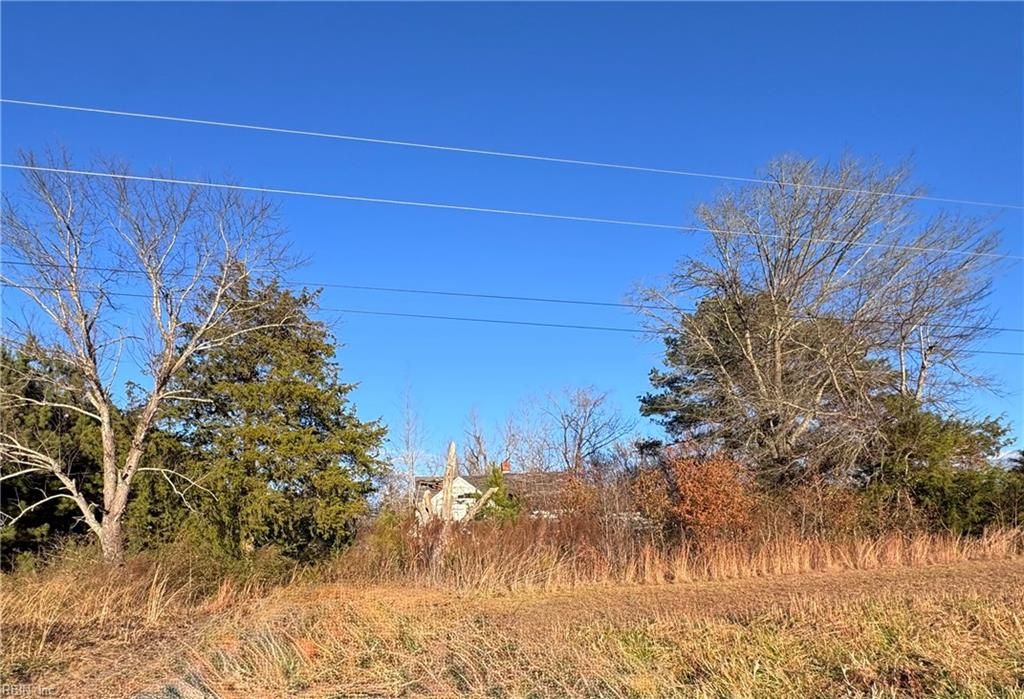 Photo of 1506 Carsley Road, Dendron, VA 23839 (MLS # 10618951)