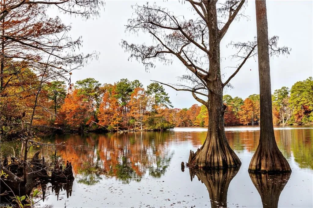 Virginia Beach, Virginia 23455, United States, 5 Bedrooms Bedrooms, ,4 BathroomsBathrooms,Residential,Pending,23899