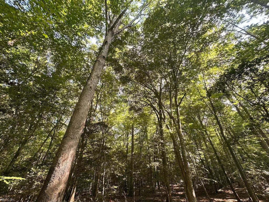 Photo of 27 AC Hills Drive, Dewitt, VA 23840 (MLS # 10641894)