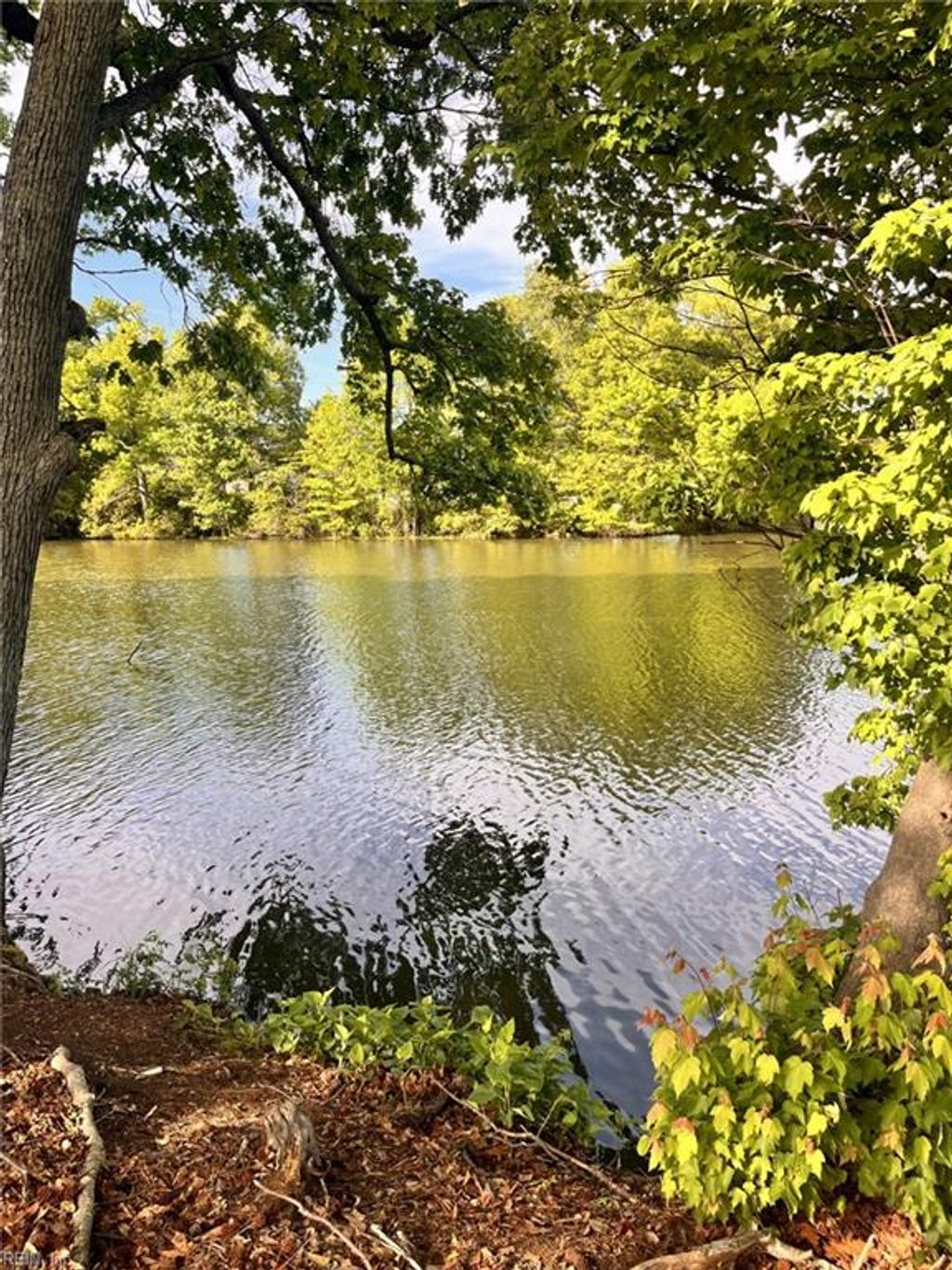 Photo of 2035 Foxs Lair Trail, Norfolk, VA 23518 (MLS # 10631405)