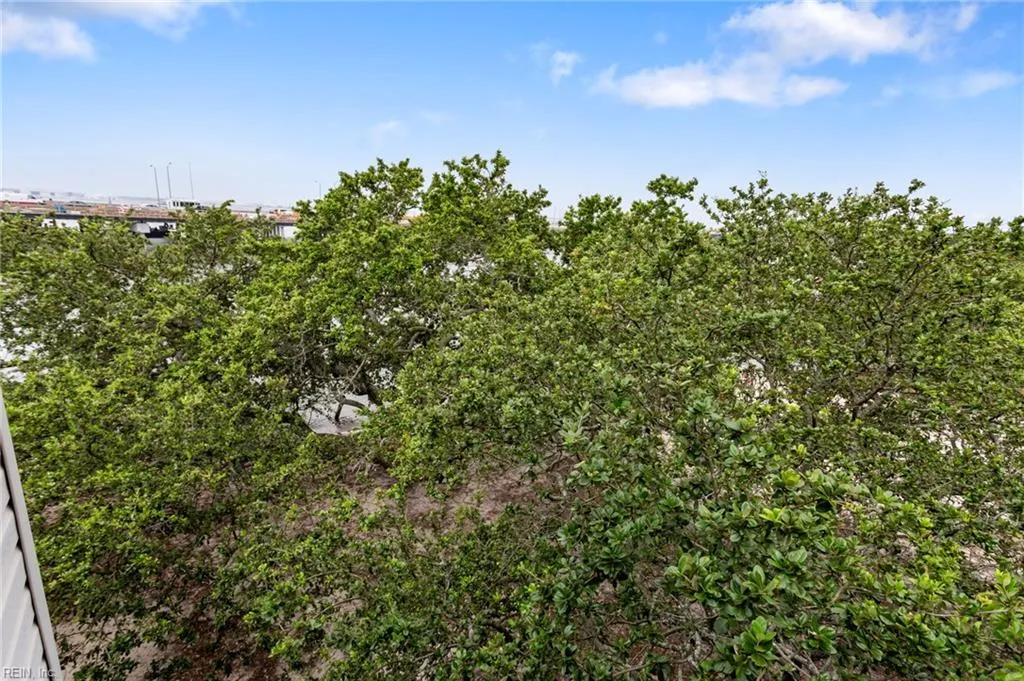 Norfolk, Virginia 23503, United States, 2 Bedrooms Bedrooms, ,2 BathroomsBathrooms,Residential,Active,162190