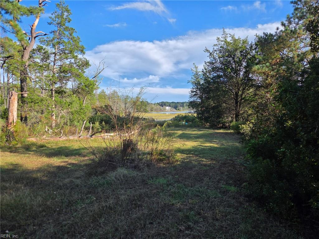 Photo of 349 Pepper Cove Way, Susan, VA 23163 (MLS # 10657402)