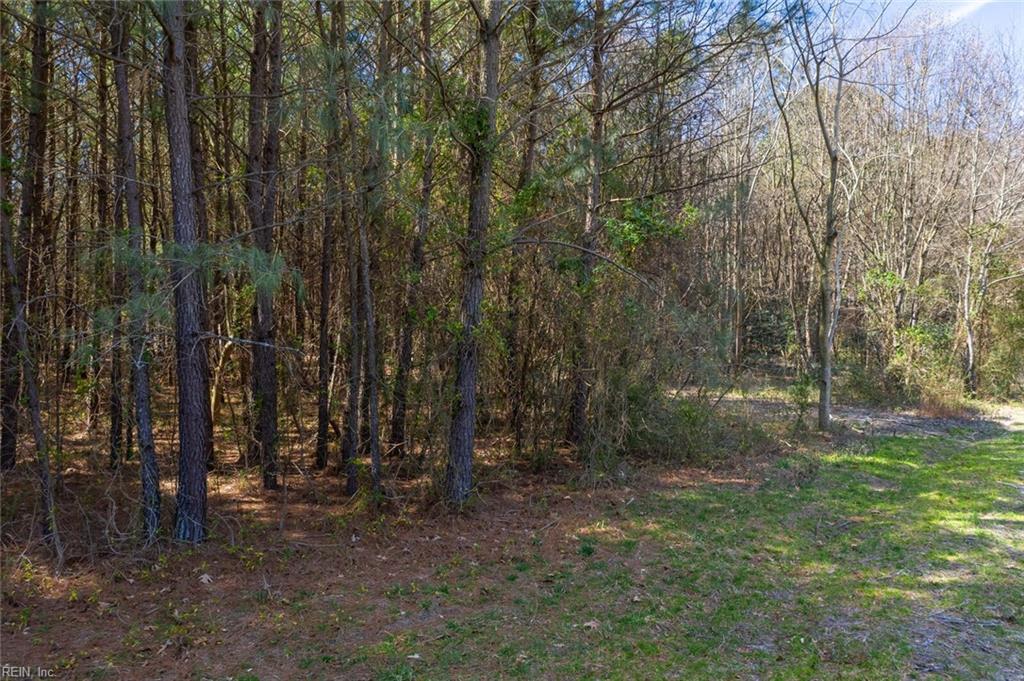 50-66+ Powhatan DR