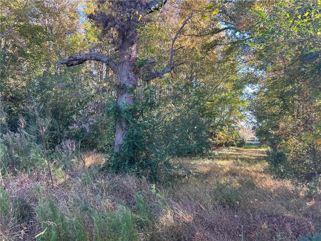 Photo of 2209 Centerville Turnpike, Chesapeake, VA 23322 (MLS # 10609009)