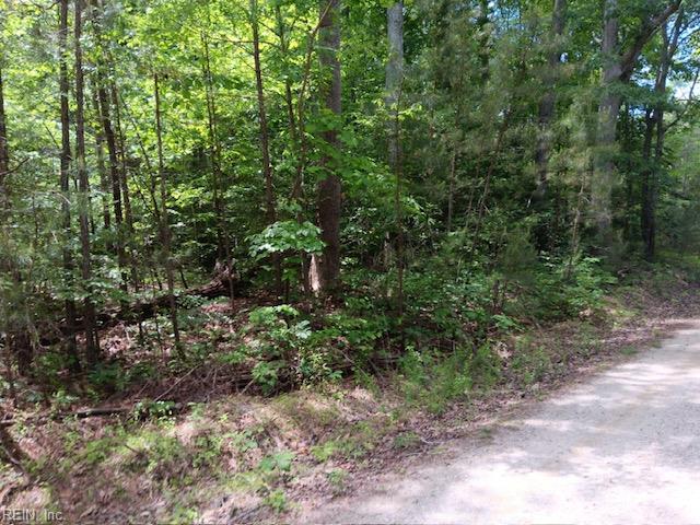 6.02 Acres West Hickory Neck RD