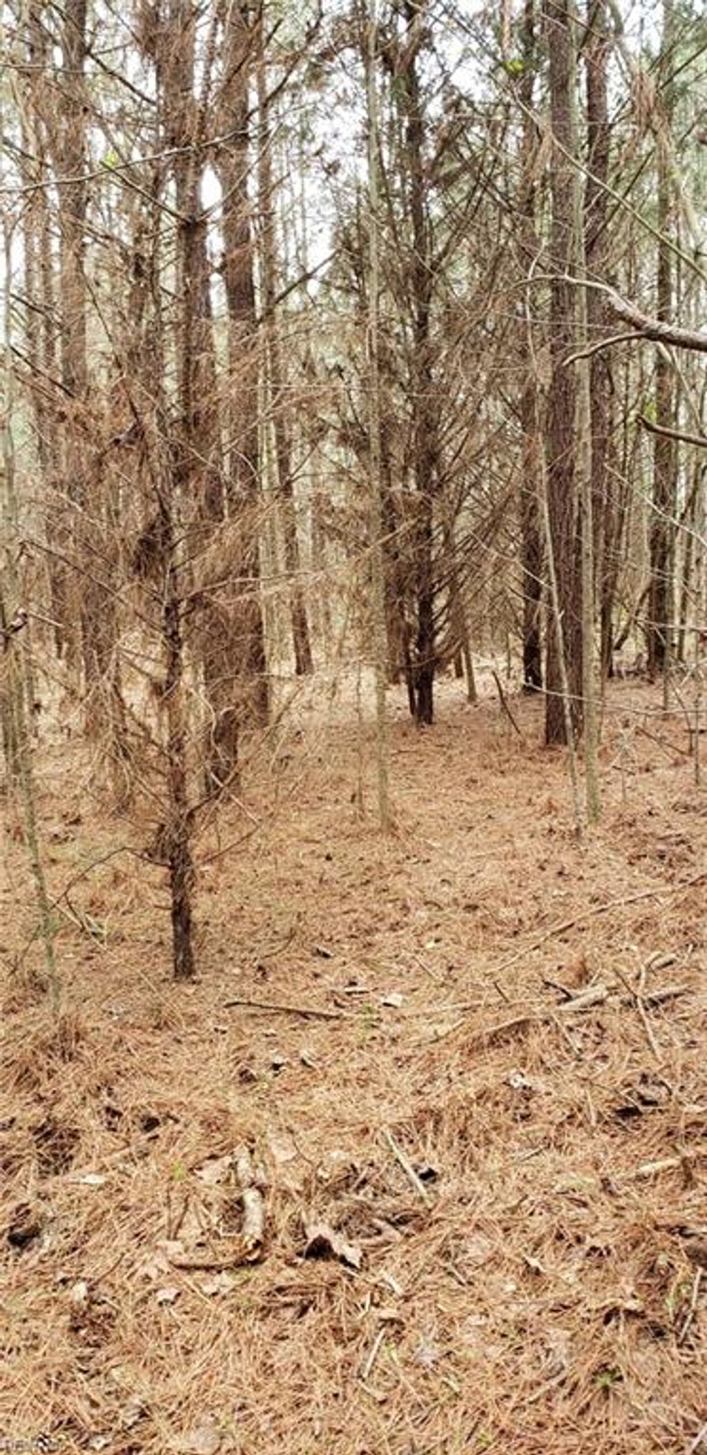 Photo of 949 Cherry Grove Road N, Suffolk, VA 23432 (MLS # 10635168)