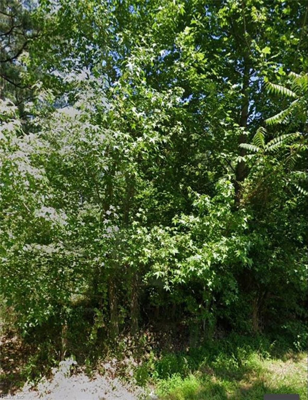 Photo of 10765 Camp Pond Road, Suffolk, VA 23437 (MLS # 10630507)