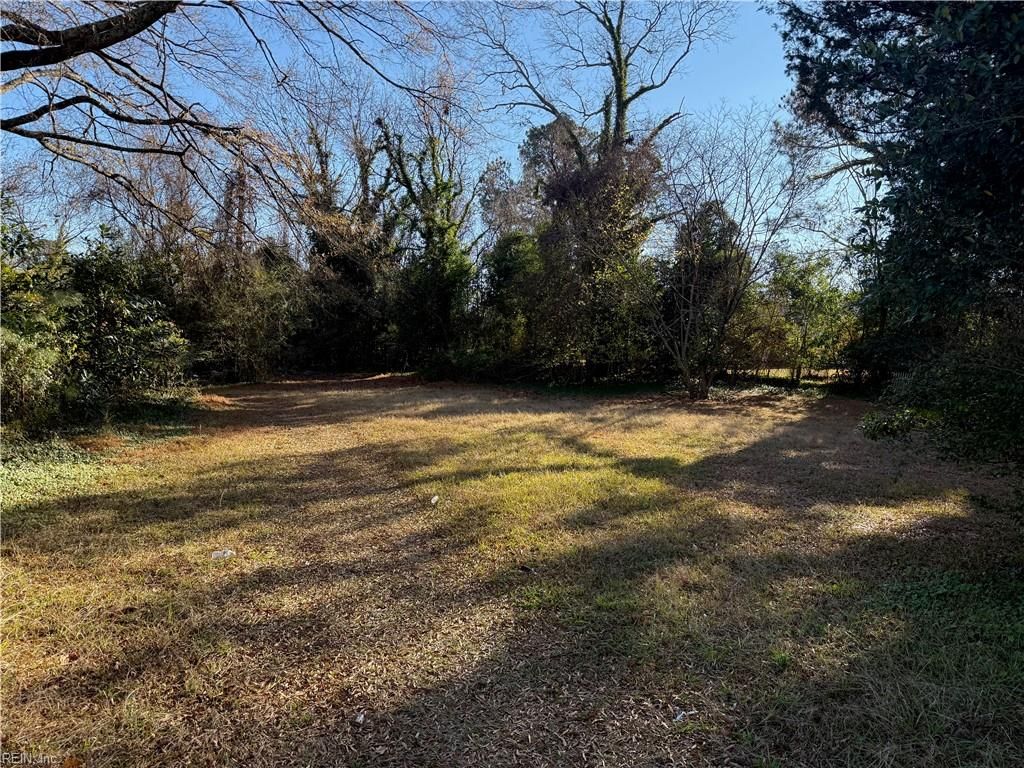 Photo of 1011 South Street, Franklin, VA 23851 (MLS # 10612050)