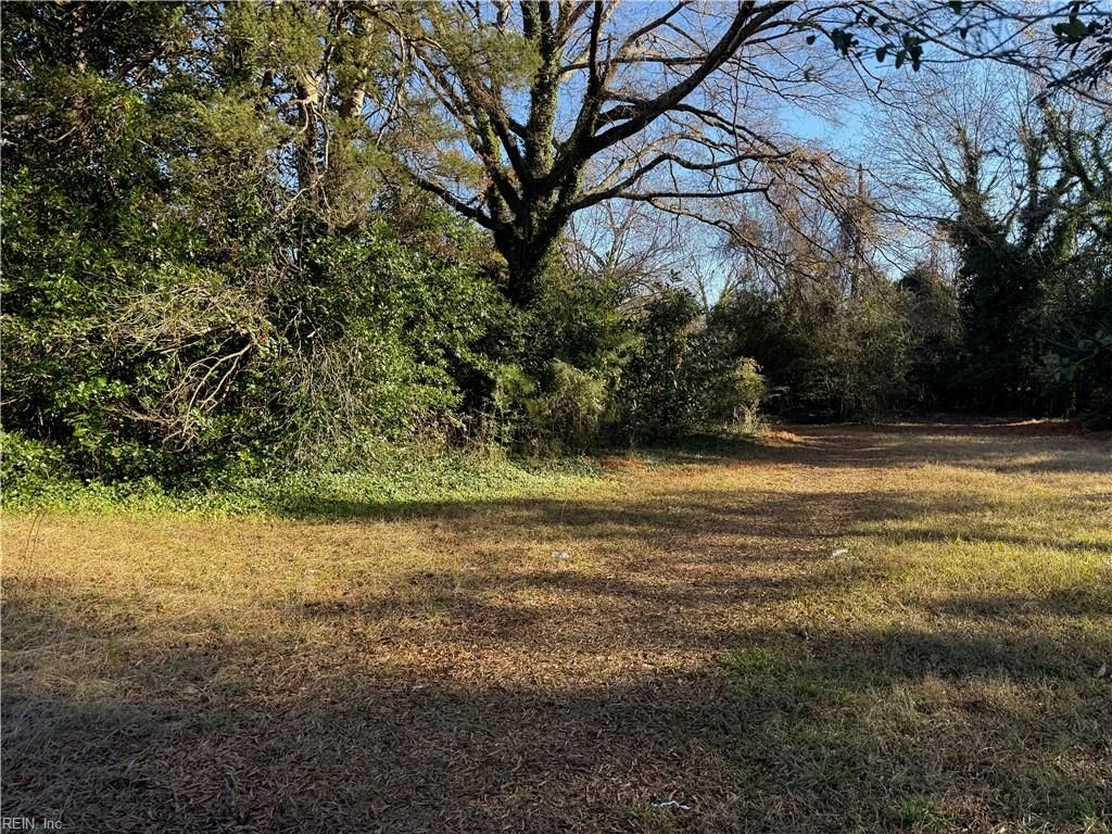 Photo of 1011 South Street, Franklin, VA 23851 (MLS # 10612050)