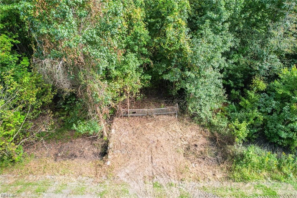 Photo of 2.5 Ac Dismal Swamp Canal Trail, Chesapeake, VA 23322 (MLS # 10617958)