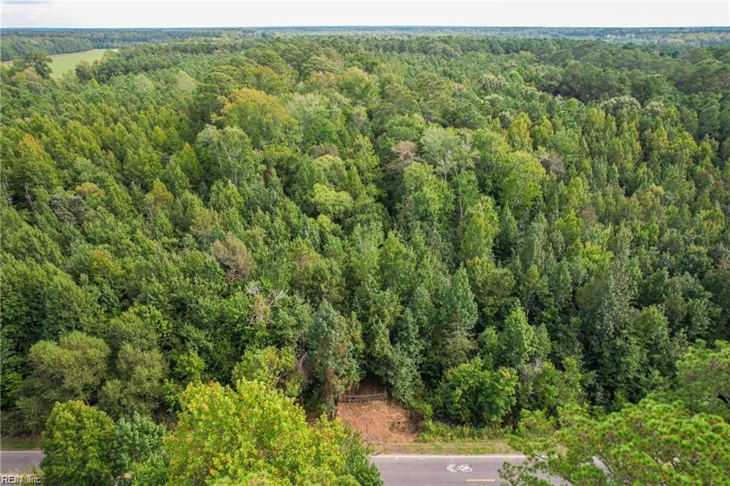 Photo of 2.5 Ac Dismal Swamp Canal Trail, Chesapeake, VA 23322 (MLS # 10617958)