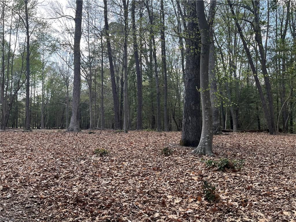 Photo of Lot 1 Cobham Wharf Road, Surry, VA 23883 (MLS # 10628474)