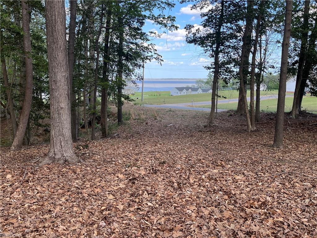 Lot 1 Cobham Wharf Road, Surry, VA, 23883