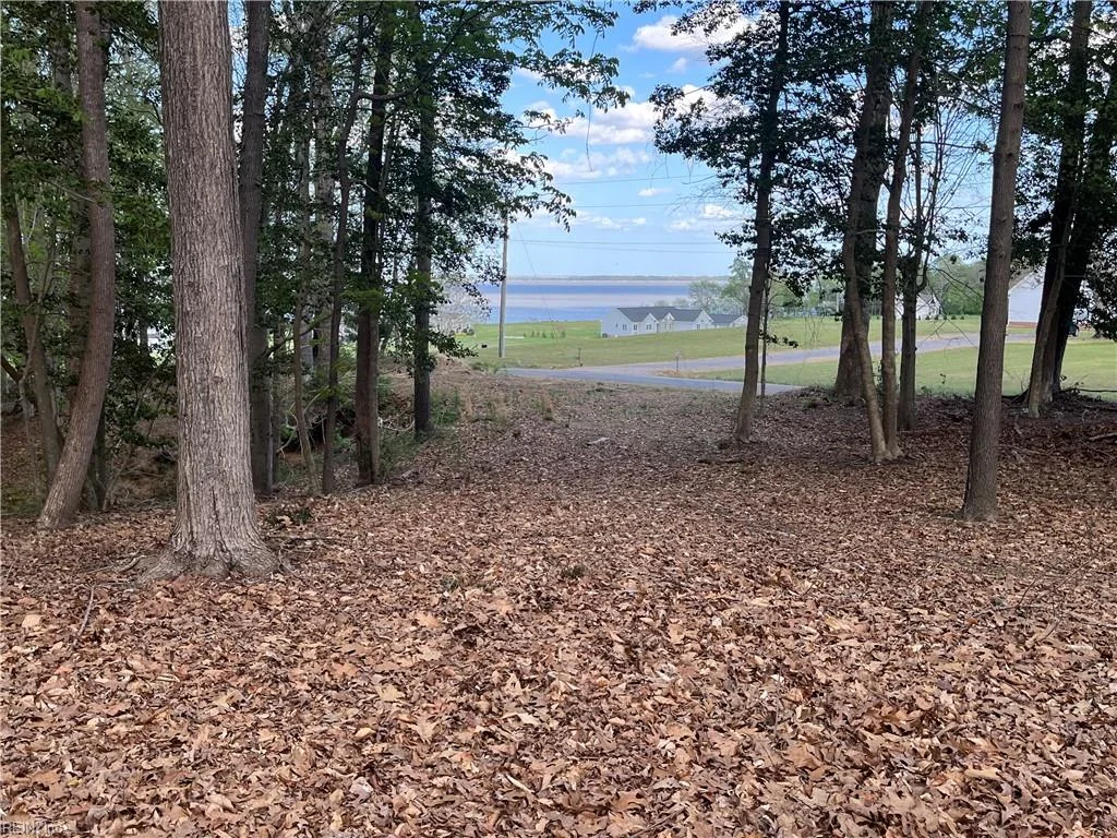 Lot 1 Cobham Wharf Road, Surry, VA, 23883