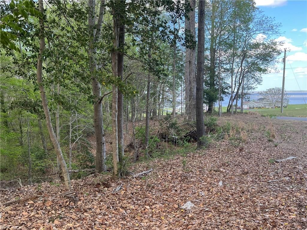 Photo of Lot 1 Cobham Wharf Road, Surry, VA 23883 (MLS # 10628474)
