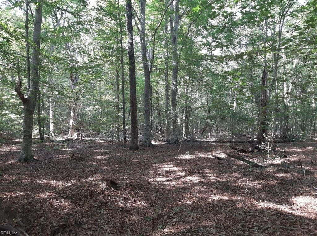 Photo of 6592 Blackwater Road, Virginia Beach, VA 23457 (MLS # 10621145)