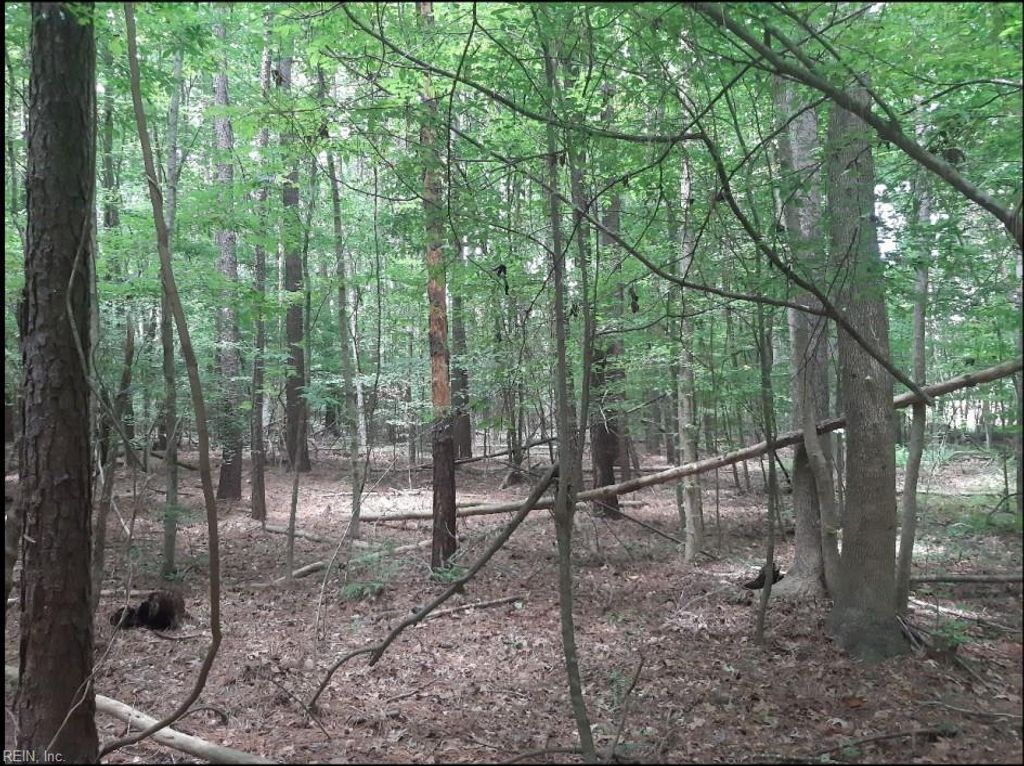 Photo of 6616 Blackwater Road, Virginia Beach, VA 23457 (MLS # 10600233)