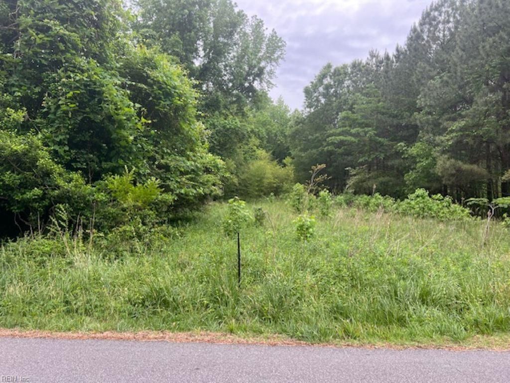 Photo of 1 acre Mansion Avenue, Claremont, VA 23899 (MLS # 10633510)