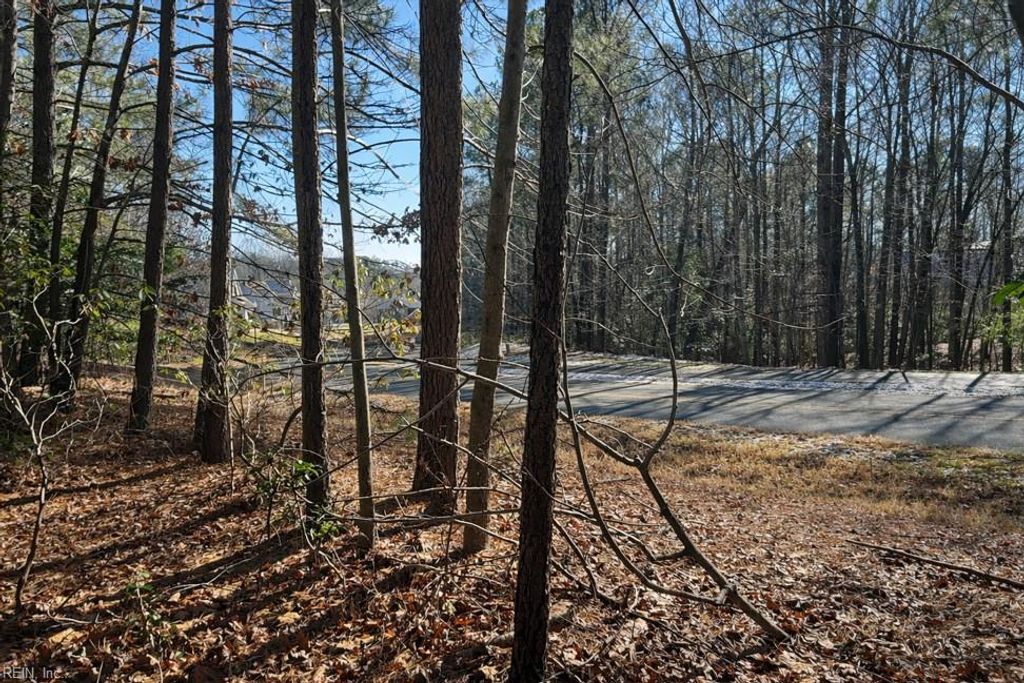 Photo of 9983 Mill Pond Run, Toano, VA 23168 (MLS # 10617070)