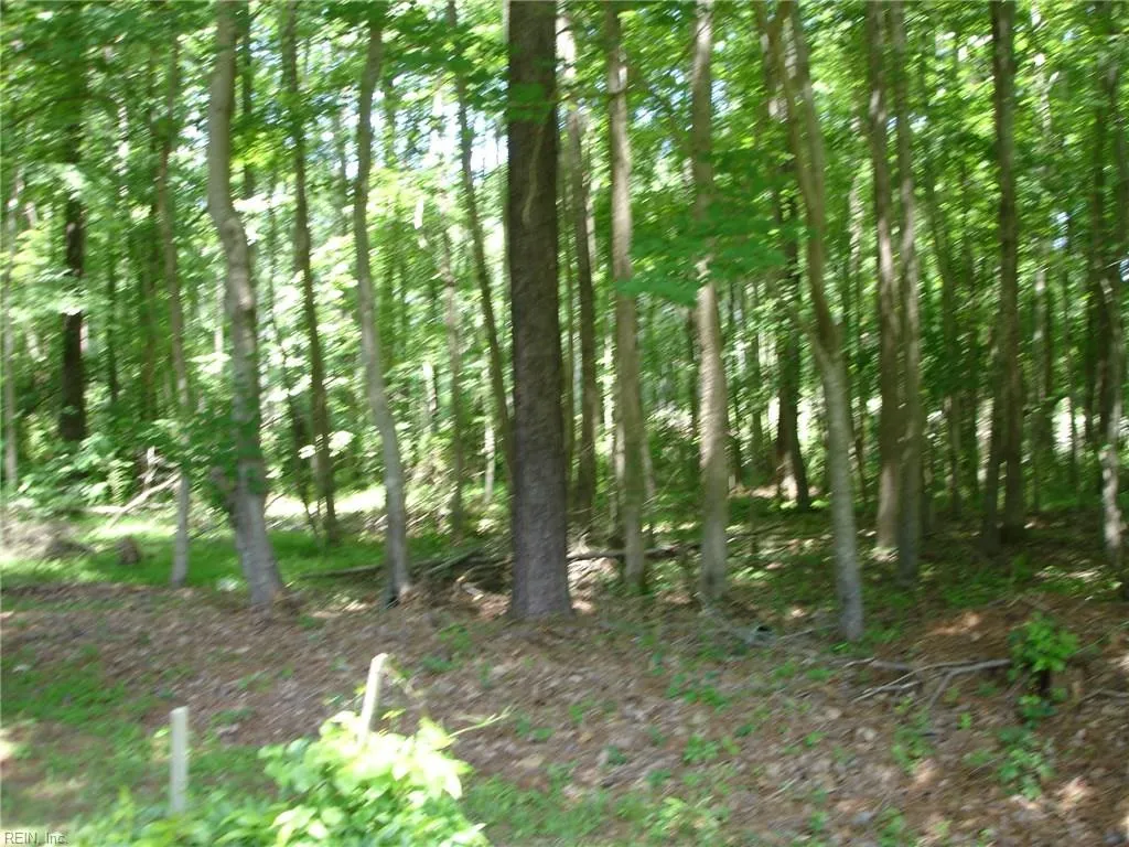 Chesapeake, Virginia 23322, United States, ,Land,Pending,73030