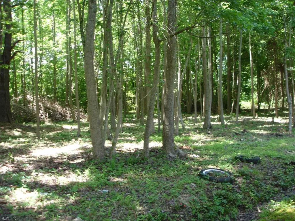 Chesapeake, Virginia 23322, United States, ,Land,Pending,73030