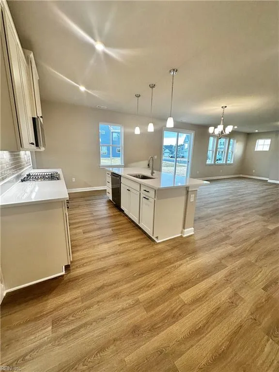 Suffolk, Virginia 23434, United States, 5 Bedrooms Bedrooms, ,4 BathroomsBathrooms,Residential,Active,256961