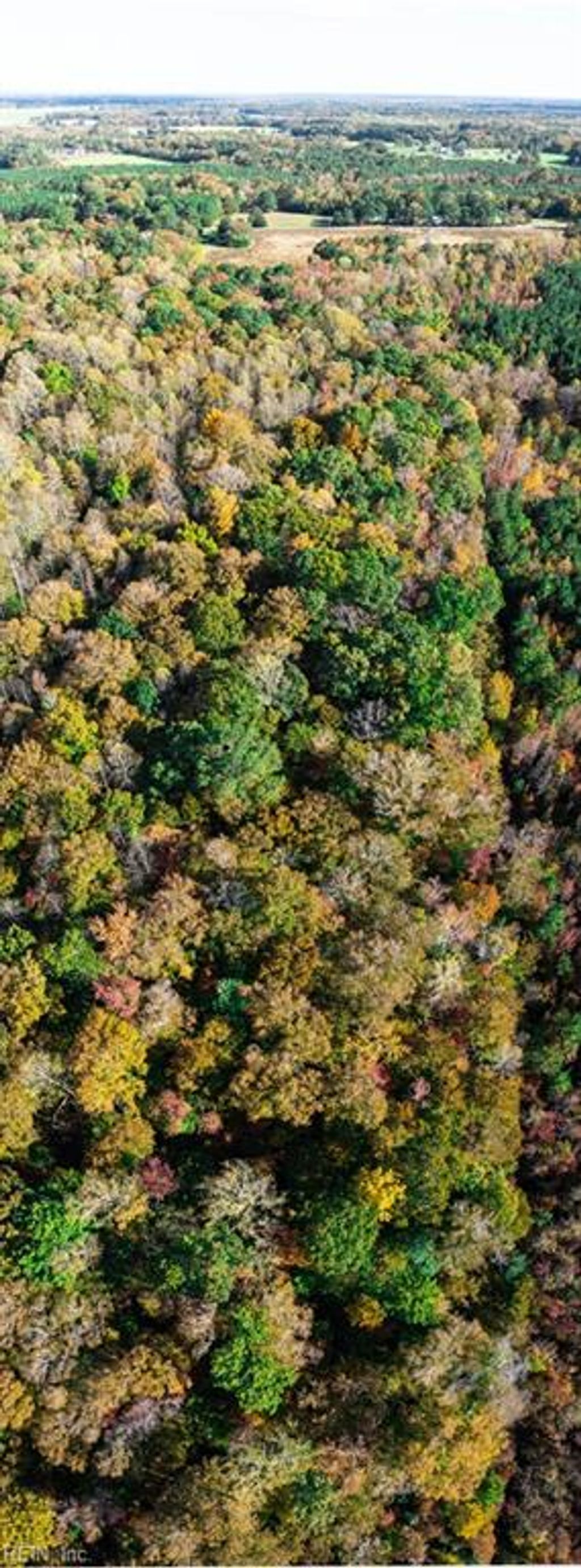 Photo of 42-14 Chippokes Farm Road, Surry, VA 23883 (MLS # 10595261)