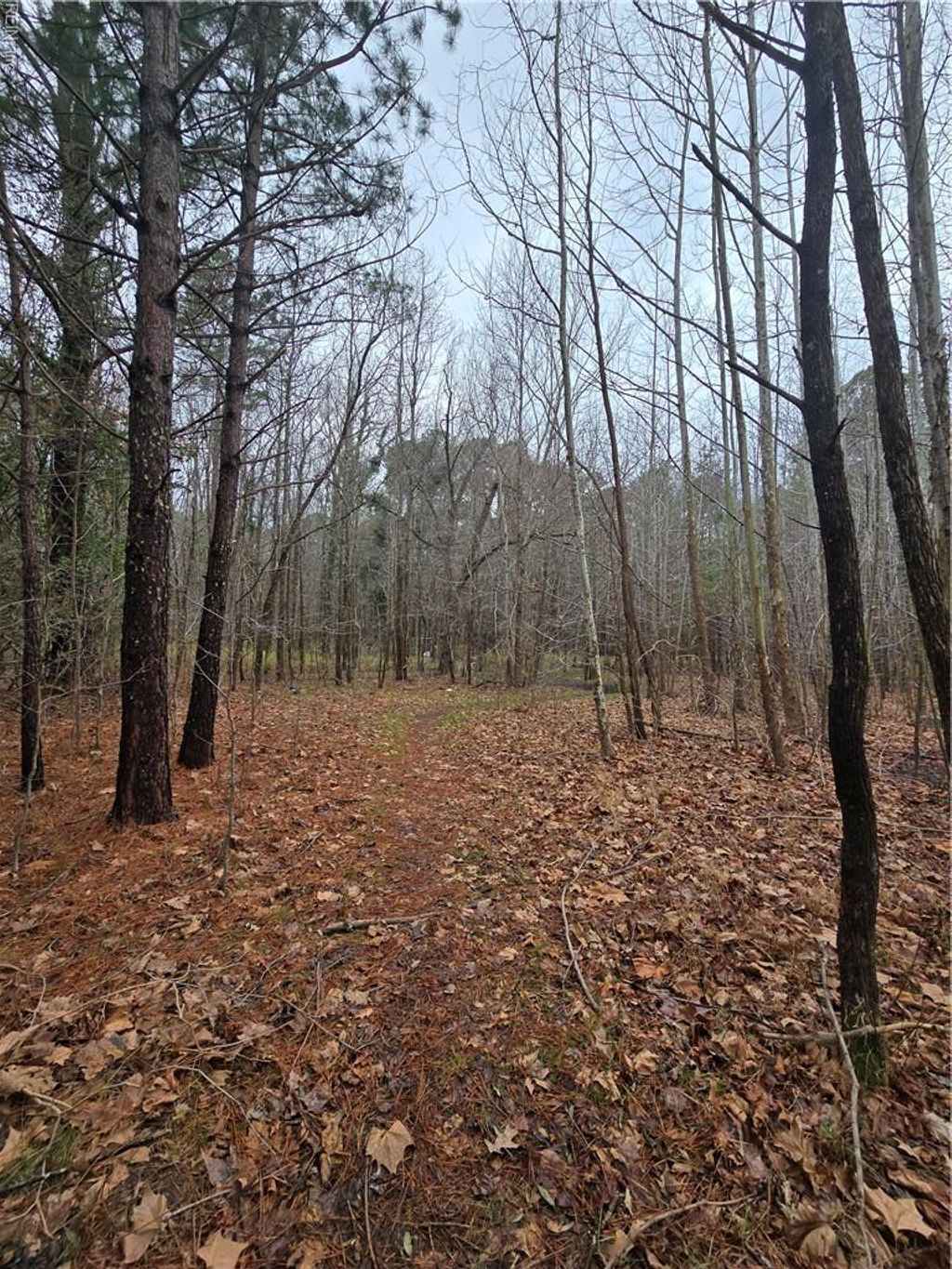 Photo of 4200 John Street, Suffolk, VA 23435 (MLS # 10623006)