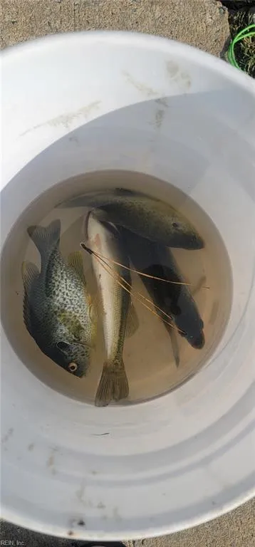 Portsmouth, Virginia 23701, United States, 3 Bedrooms Bedrooms, ,3 BathroomsBathrooms,Residential,Active,1566