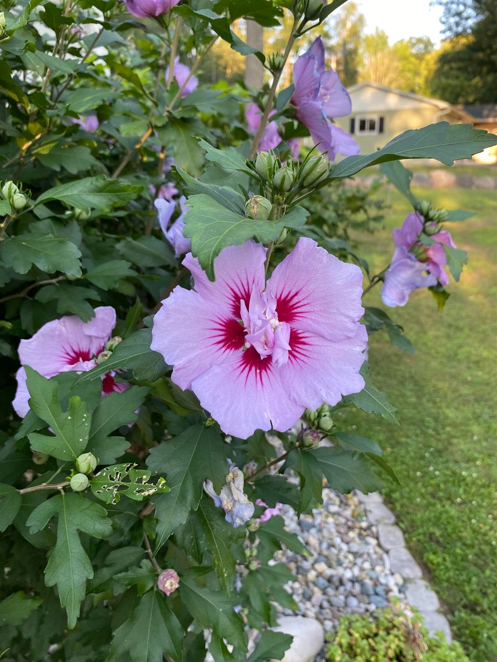 listing image 55