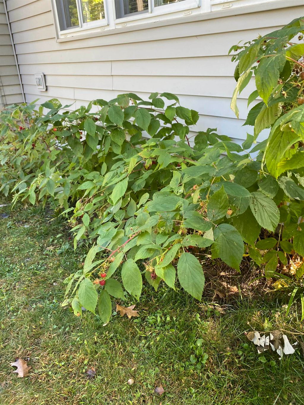 listing image 65
