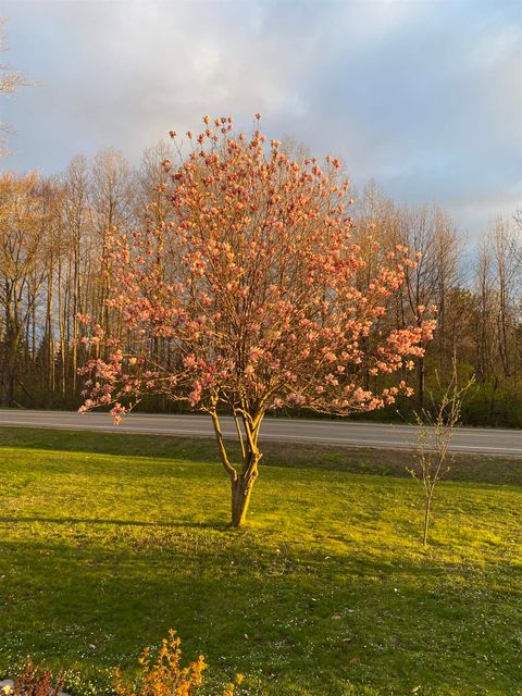 A home in RoscommonTownship_Roscommon