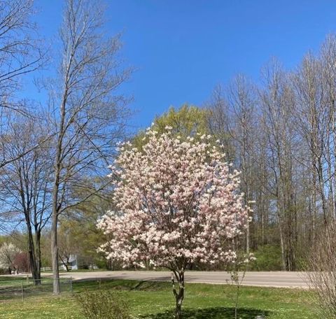 A home in RoscommonTownship_Roscommon