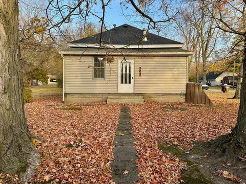 A home in Lyons Vlg-Ionia Twp