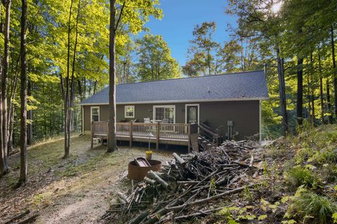 A home in Custer Twp