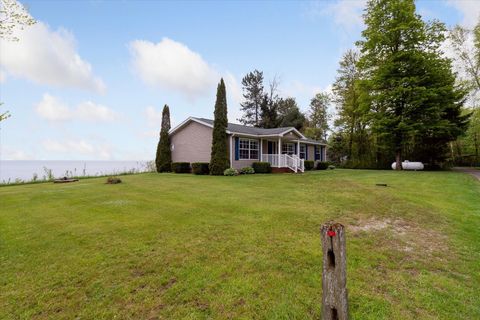 A home in Sand Beach Twp