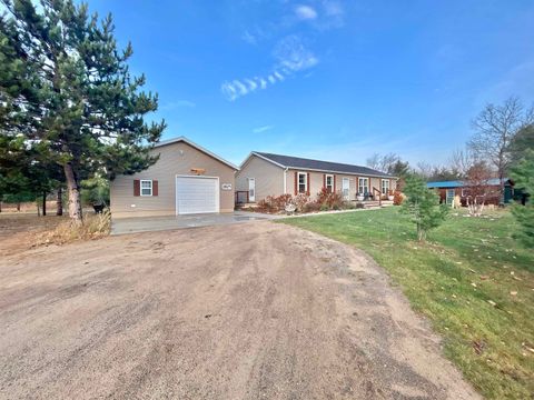 A home in Rapid River Twp