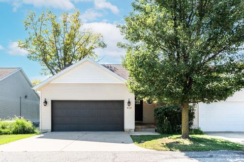 A home in Big Rapids