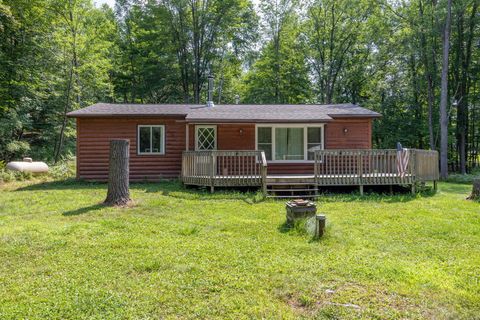 A home in Evart Twp