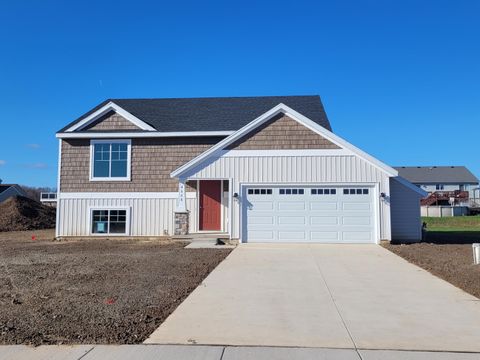 A home in Leighton Twp