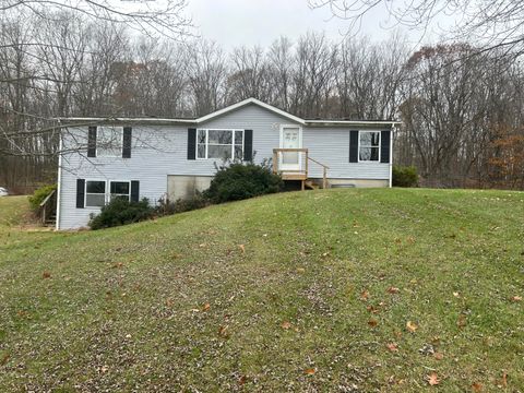 A home in Gun Plain Twp