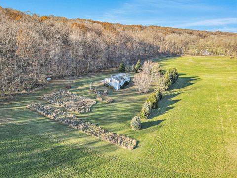 A home in Gun Plain Twp