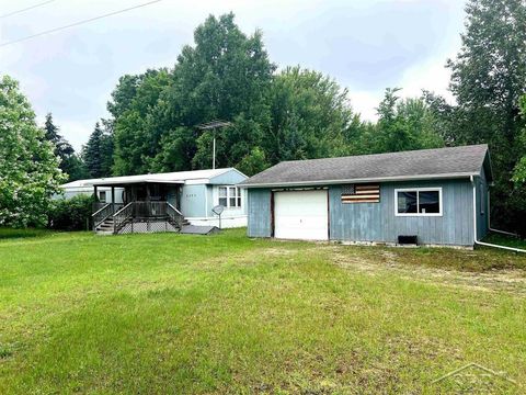 A home in Summerfield Twp