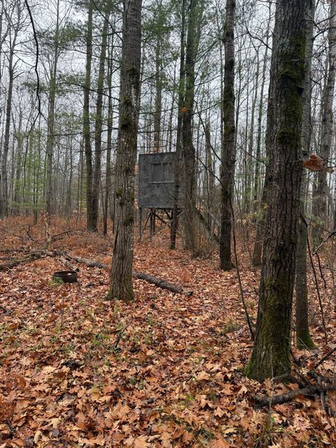 A home in Elmer Twp