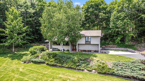 A home in Peninsula Twp