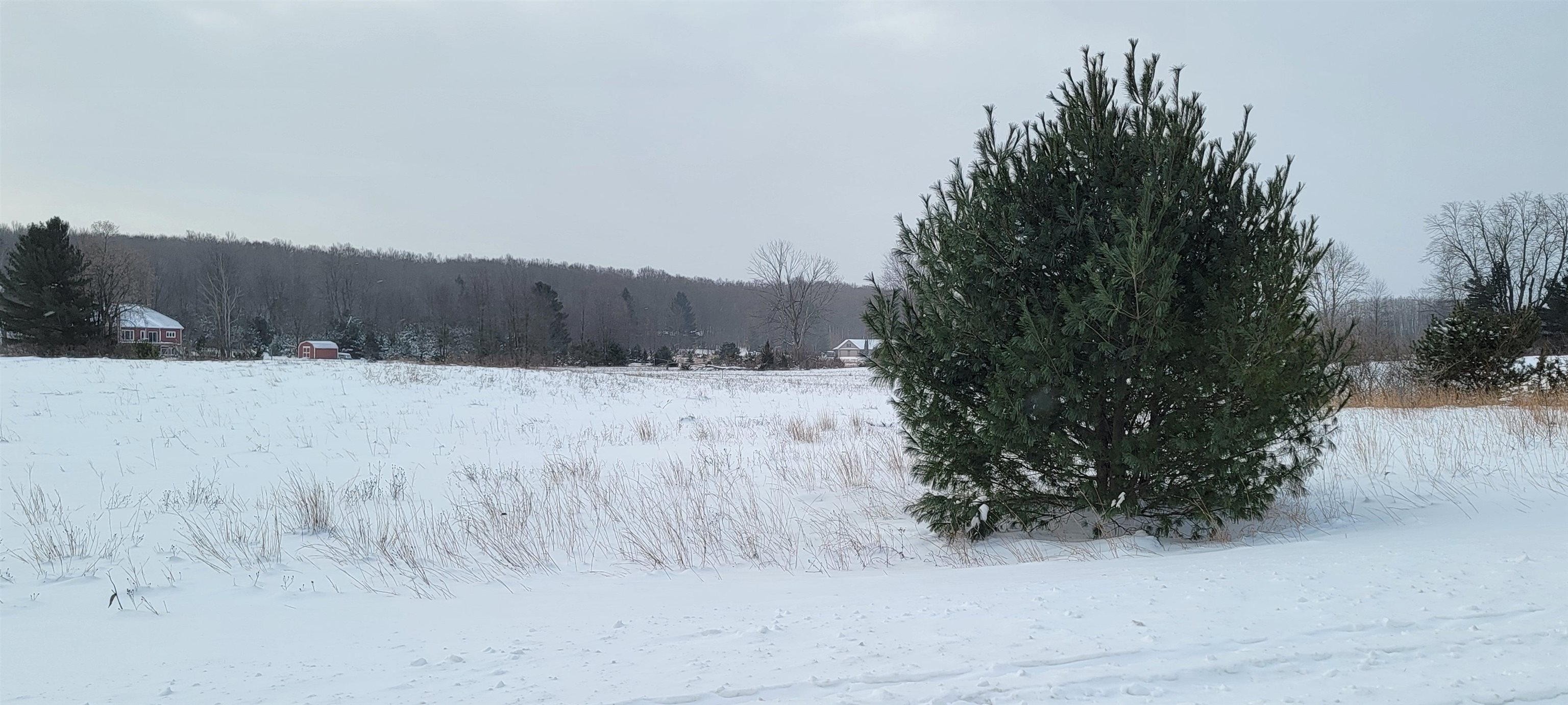 LOT 44 Alden Meadows