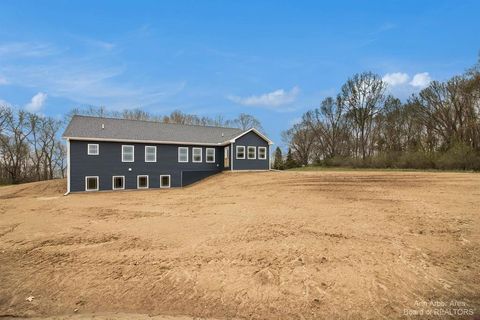 A home in Grass Lake Twp