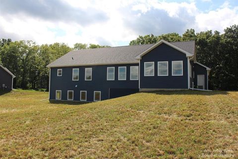 A home in Grass Lake Twp