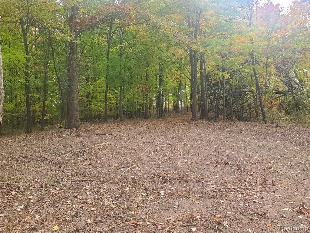 6002 7 Mile Road